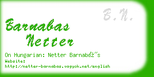 barnabas netter business card